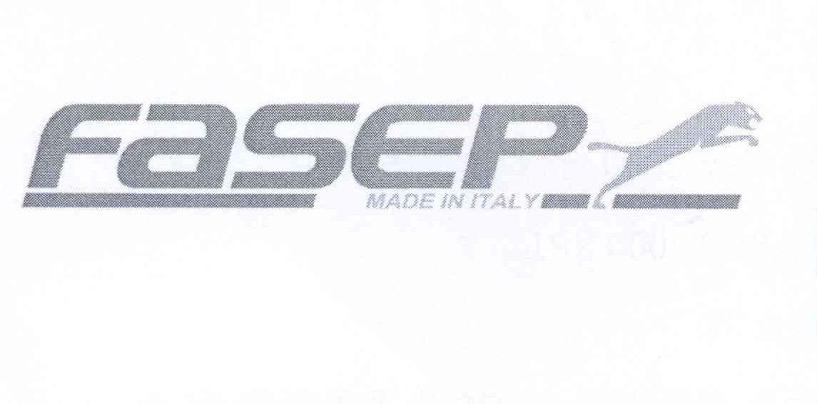 商标名称FASEP MADE IN ITALY商标注册号 13125975、商标申请人费斯普2000有限责任公司的商标详情 - 标库网商标查询