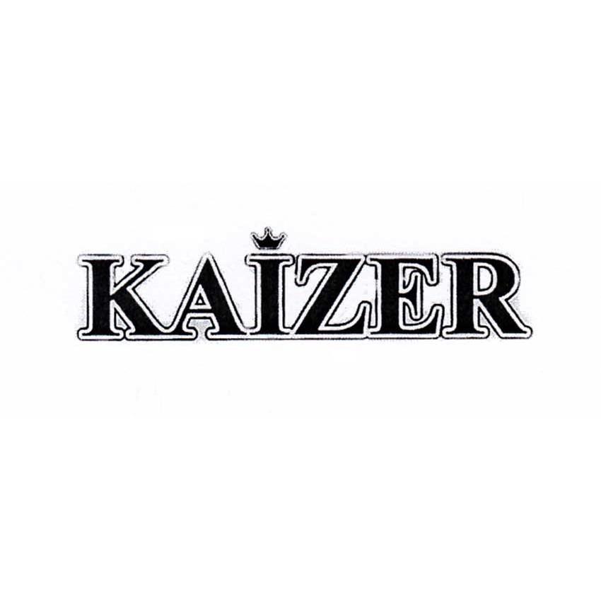 商标名称KAIZER商标注册号 12657356、商标申请人宁波天鼎生物科技有限公司的商标详情 - 标库网商标查询