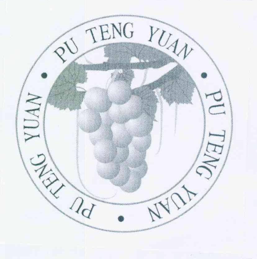 商标名称PU TENG YUAN商标注册号 12275381、商标申请人刘静文的商标详情 - 标库网商标查询