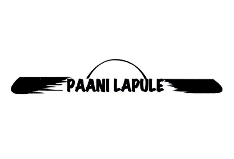 商标名称PAANI LAPULE商标注册号 10293865、商标申请人H&S株式会社的商标详情 - 标库网商标查询