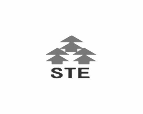 商标名称STE商标注册号 11177002、商标申请人苏州三铁机械有限公司的商标详情 - 标库网商标查询