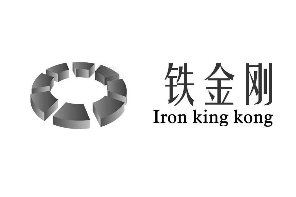 商标名称铁金刚 IRON KING KONG商标注册号 10058673、商标申请人江西三加一科技有限公司的商标详情 - 标库网商标查询