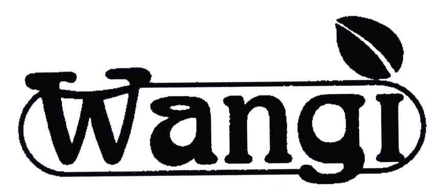 商标名称WANGI商标注册号 4820969、商标申请人万仪企业有限公司的商标详情 - 标库网商标查询