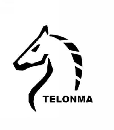商标名称TELONMA商标注册号 10259016、商标申请人铁戎马机械科技（上海）有限公司的商标详情 - 标库网商标查询