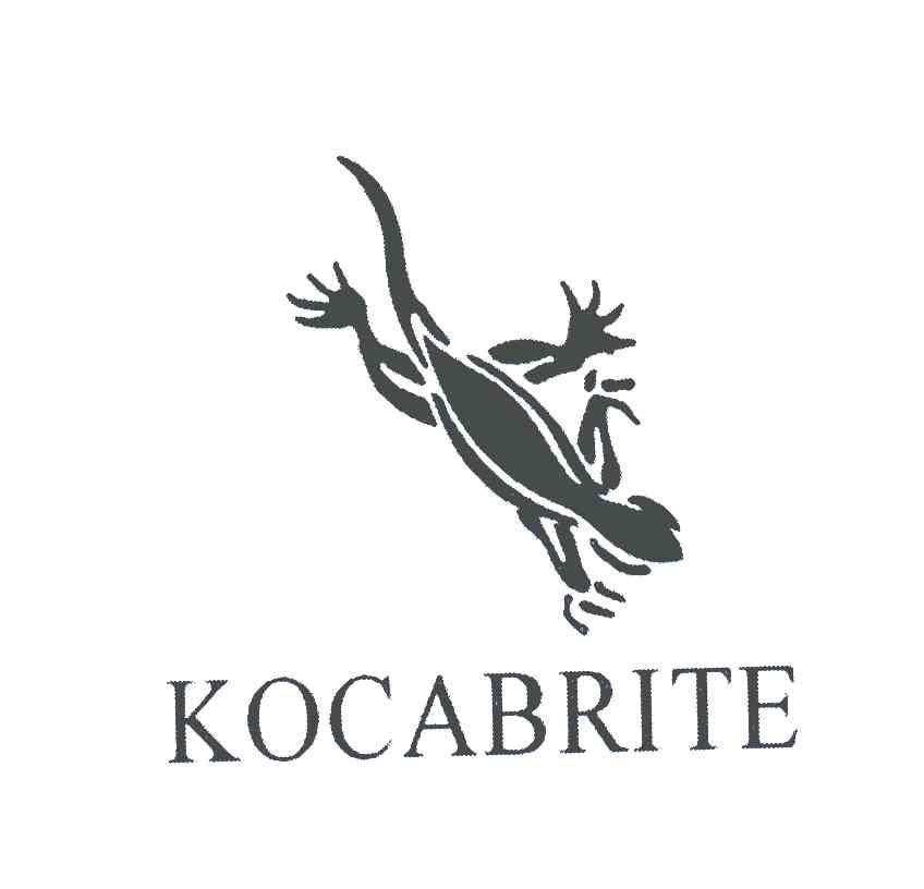 商标名称KOCABRITE商标注册号 4749774、商标申请人意大利双龙有限公司的商标详情 - 标库网商标查询