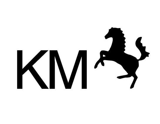 商标名称KM商标注册号 10517000、商标申请人华辉科技（中国）有限公司的商标详情 - 标库网商标查询