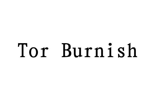 购买TOR BURNISH商标，优质18类-皮革工具商标买卖就上蜀易标商标交易平台