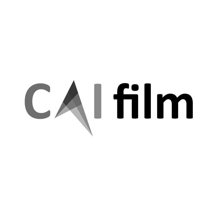 商标名称CAIFILM商标注册号 13735338、商标申请人上海彩影文化传播有限公司的商标详情 - 标库网商标查询