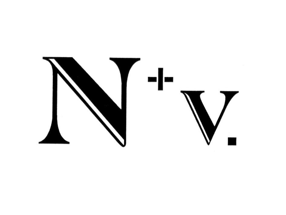 商标名称N+V商标注册号 10437818、商标申请人广州市威琳鞋业有限公司的商标详情 - 标库网商标查询