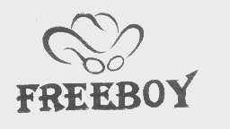 商标名称FREEBOY商标注册号 1252978、商标申请人上海飞宝光学眼镜有限公司的商标详情 - 标库网商标查询