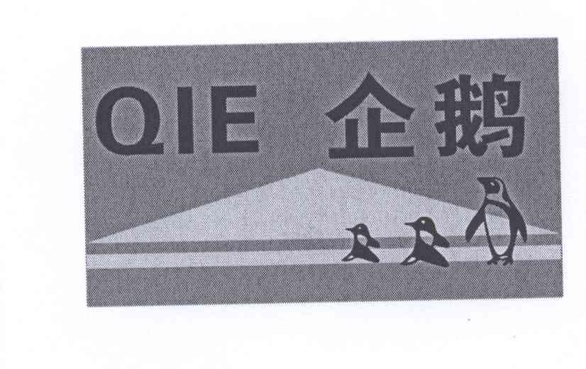 商标名称企鹅商标注册号 12577978、商标申请人深圳市企鹅鞋业有限公司的商标详情 - 标库网商标查询