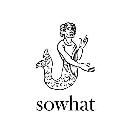 商标名称SOWHAT商标注册号 12879868、商标申请人北京良仓文化传播有限公司的商标详情 - 标库网商标查询