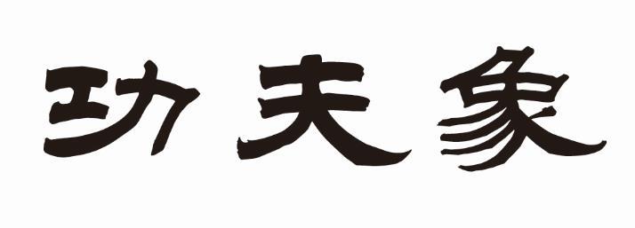 功夫象