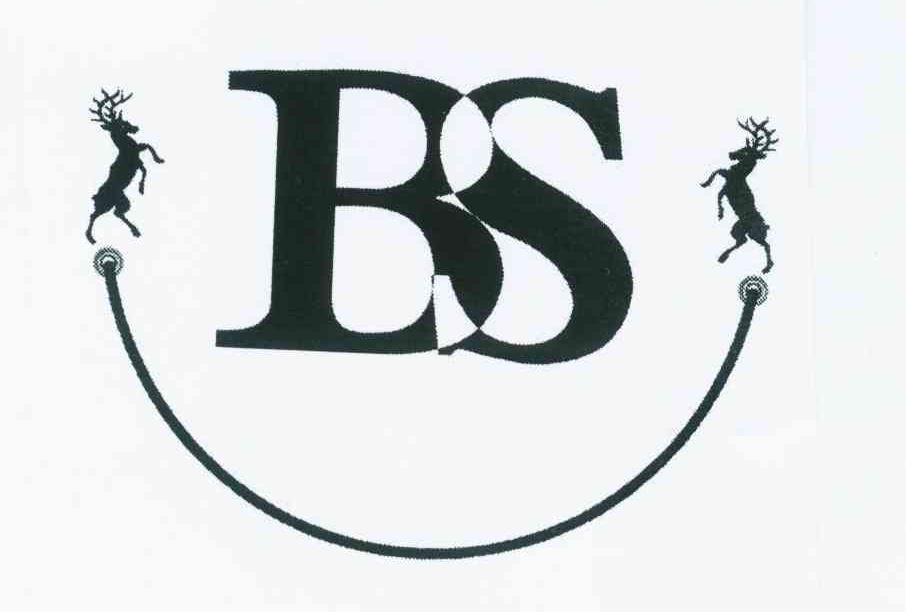 商标名称BS商标注册号 12211642、商标申请人佛山市南海正天皮鞋厂的商标详情 - 标库网商标查询