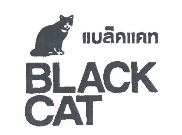 商标名称BLACK CAT商标注册号 3385734、商标申请人拜瑟尔·切瓦瑟先生的商标详情 - 标库网商标查询