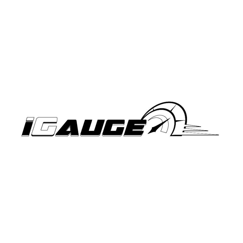 商标名称IGAUGE商标注册号 13674557、商标申请人纮诠科技企业有限公司的商标详情 - 标库网商标查询