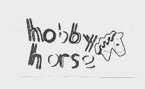 商标名称HOBBYHORSE商标注册号 1043603、商标申请人斯普林菲尔德咨询有限公司的商标详情 - 标库网商标查询