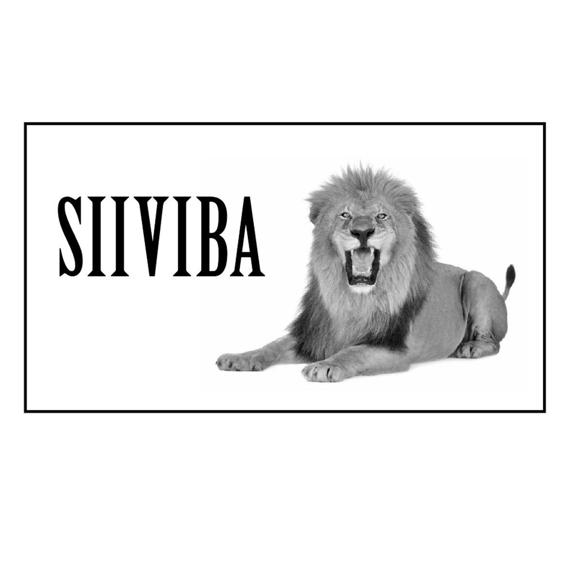 商标名称SIIVIBA商标注册号 13880368、商标申请人索纳塔贸易国际公司的商标详情 - 标库网商标查询