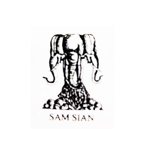 商标名称SAMSIAN商标注册号 11108523、商标申请人乐清市意联电器有限公司的商标详情 - 标库网商标查询