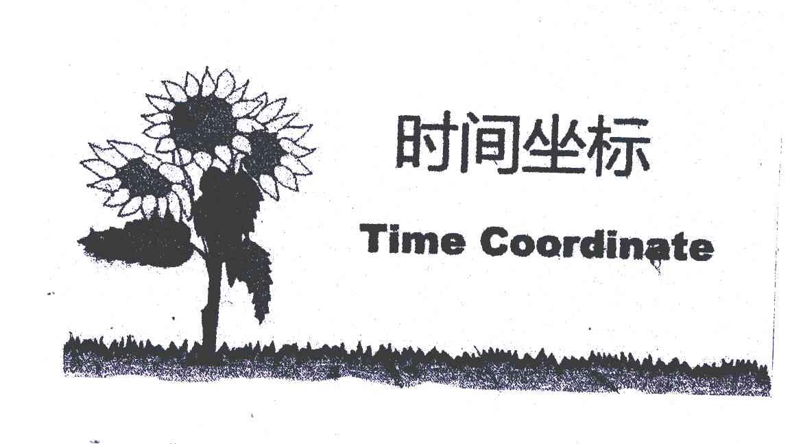 商标名称时间坐标;TIME COORDINATE商标注册号 6285560、商标申请人天津市鼎曦光学科技有限公司的商标详情 - 标库网商标查询