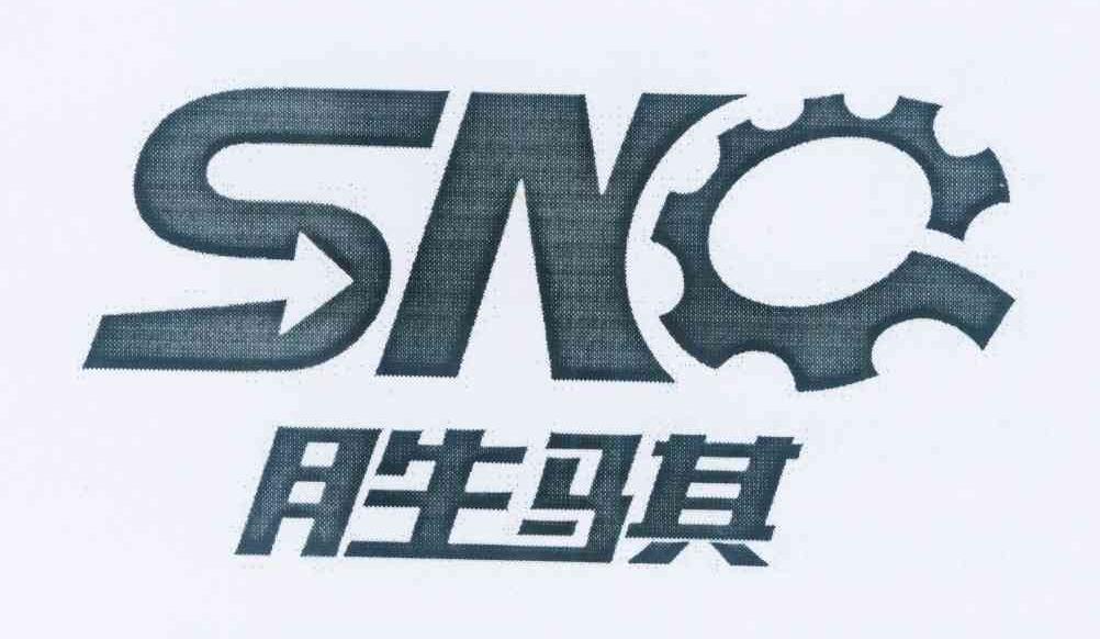 商标名称SNQ 胜骐商标注册号 11211953、商标申请人王伊飞的商标详情 - 标库网商标查询