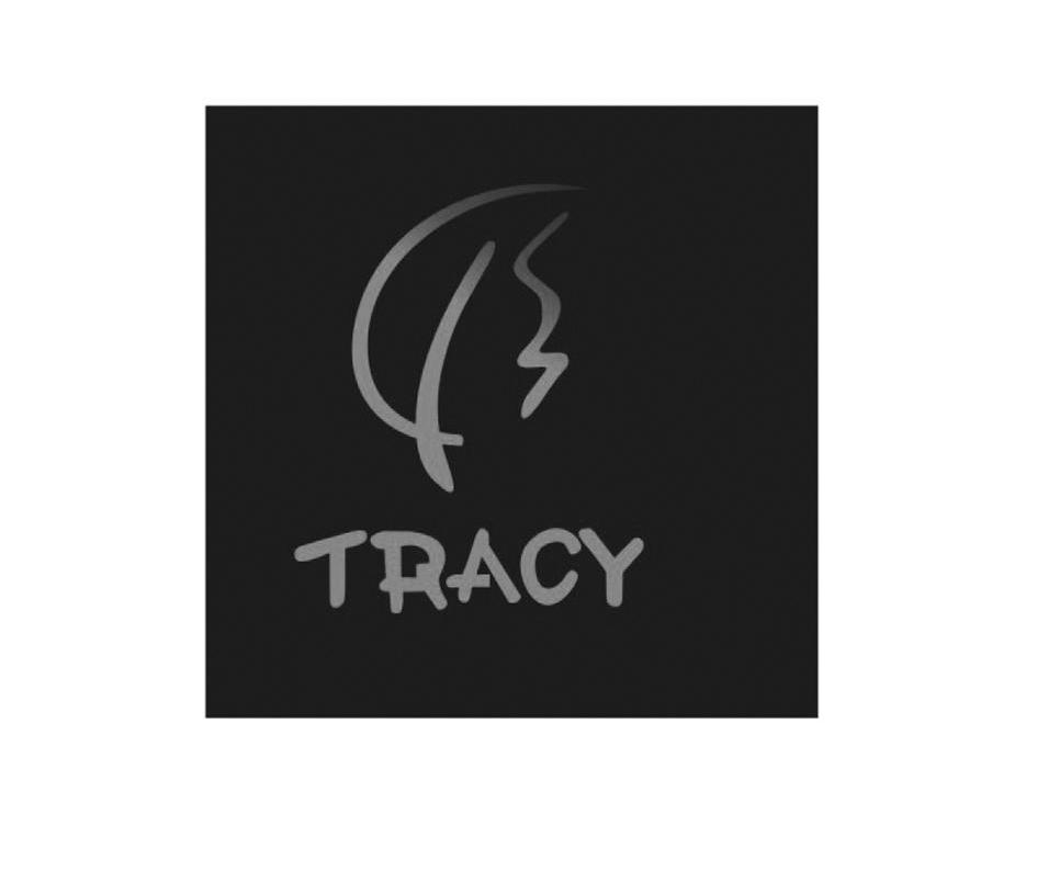 商标名称TRACY商标注册号 11003205、商标申请人深圳市翠茜工艺饰品有限公司的商标详情 - 标库网商标查询