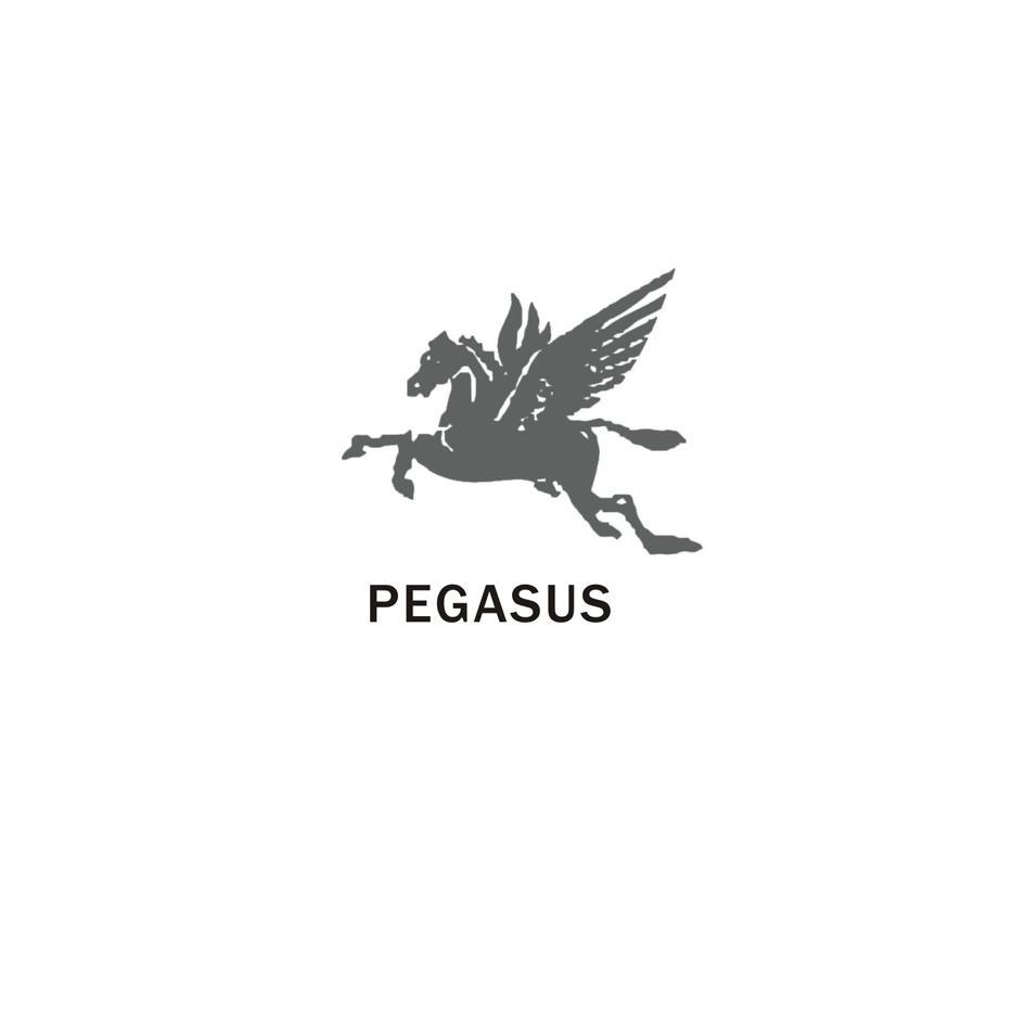 商标名称PEGASUS商标注册号 7943096、商标申请人广州市松田宝电器有限公司的商标详情 - 标库网商标查询