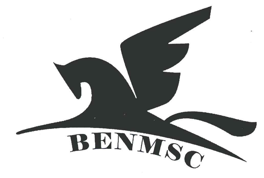 商标名称BENMSC商标注册号 5562074、商标申请人连云港奔马鞋业有限公司的商标详情 - 标库网商标查询