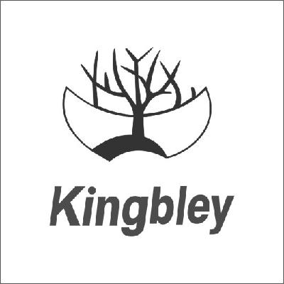 商标名称KINGBLEY商标注册号 14719977、商标申请人佛山市顺德区兴顺鞋业皮具制品厂有限公司的商标详情 - 标库网商标查询