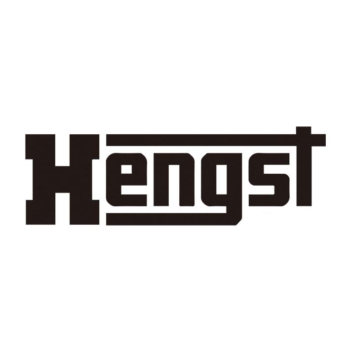 商标名称HENGST商标注册号 18258151、商标申请人北京鄢氏龙马泰昌国际贸易有限公司的商标详情 - 标库网商标查询