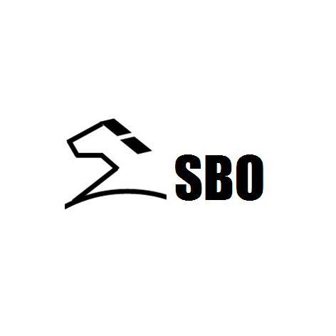 商标名称SBO商标注册号 11660560、商标申请人沈阳时比欧工业皮带密封制品有限公司的商标详情 - 标库网商标查询
