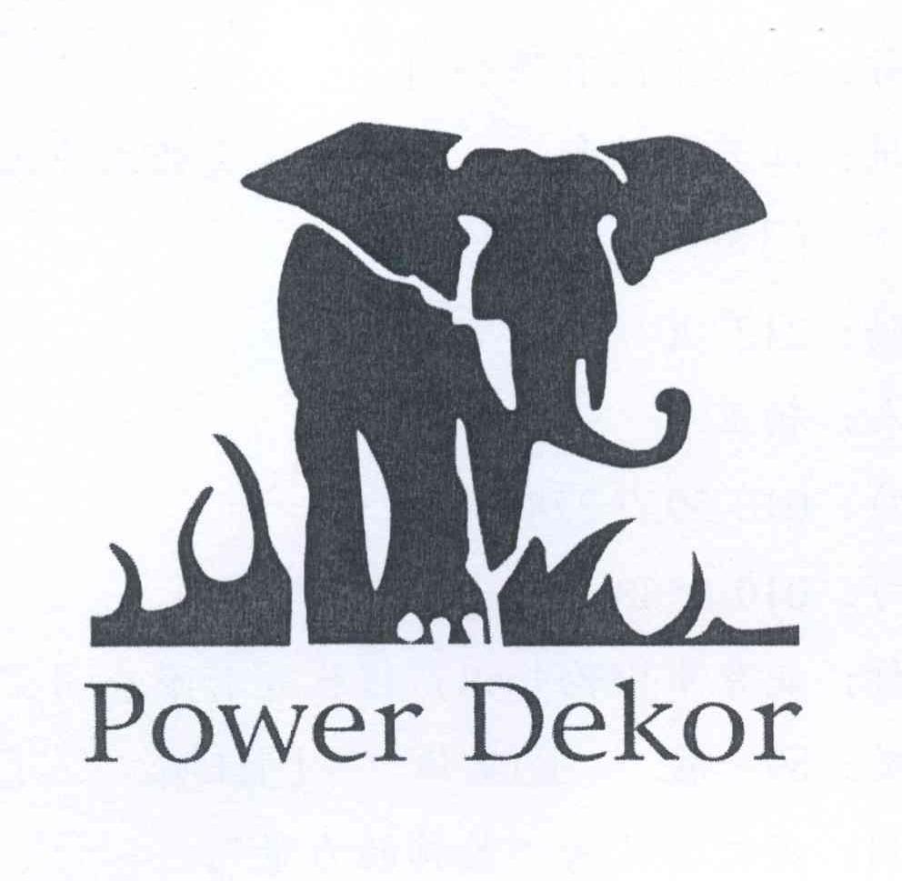 商标名称POWER DEKOR商标注册号 13341863、商标申请人圣象集团有限公司的商标详情 - 标库网商标查询
