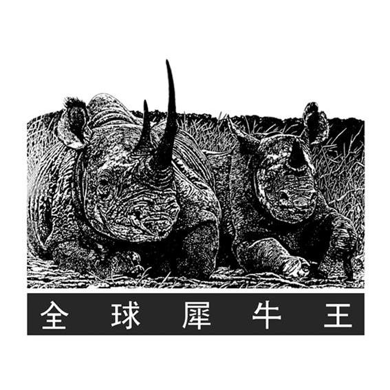 商标名称全球犀牛王 商标注册号 8941151、商标申请人韩国犀牛集团国际有限公司的商标详情 - 标库网商标查询
