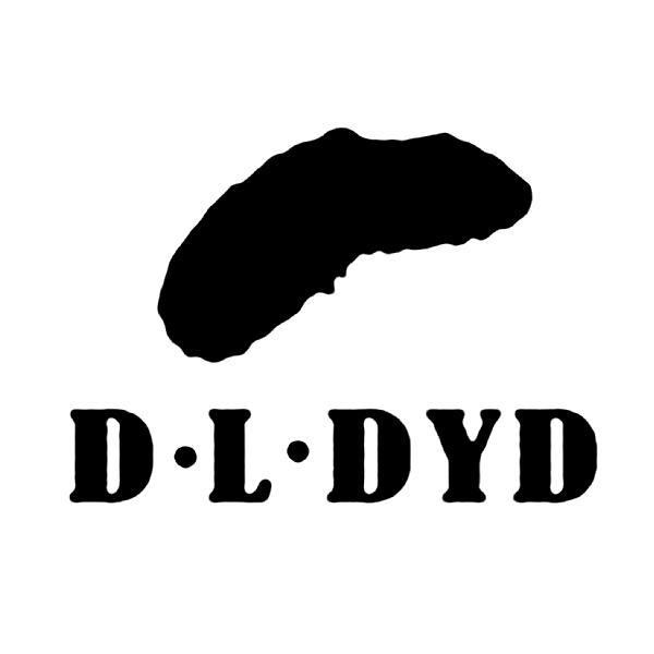 商标名称D.L.DYD商标注册号 12054380、商标申请人泉州康康鞋服有限公司的商标详情 - 标库网商标查询