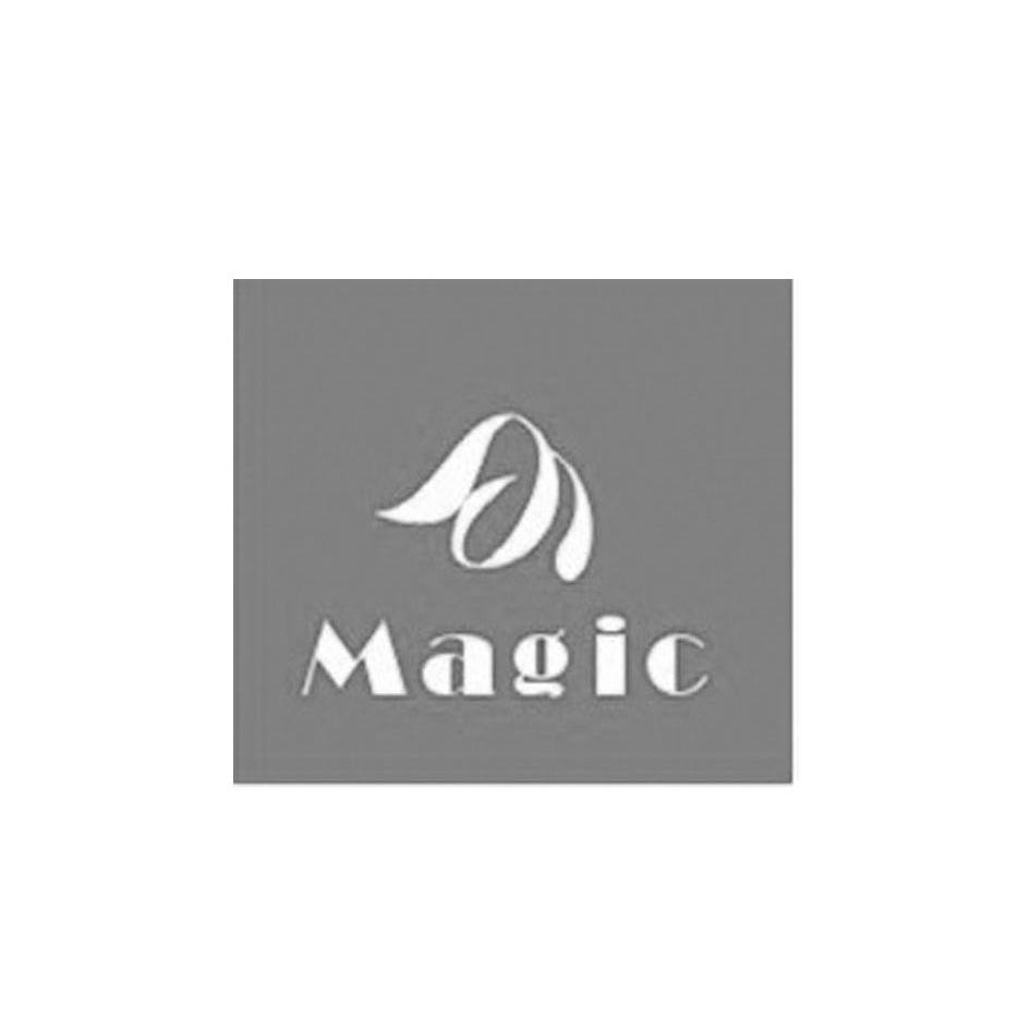 商标名称MAGIC商标注册号 10229061、商标申请人北京佳美硕商贸有限公司的商标详情 - 标库网商标查询
