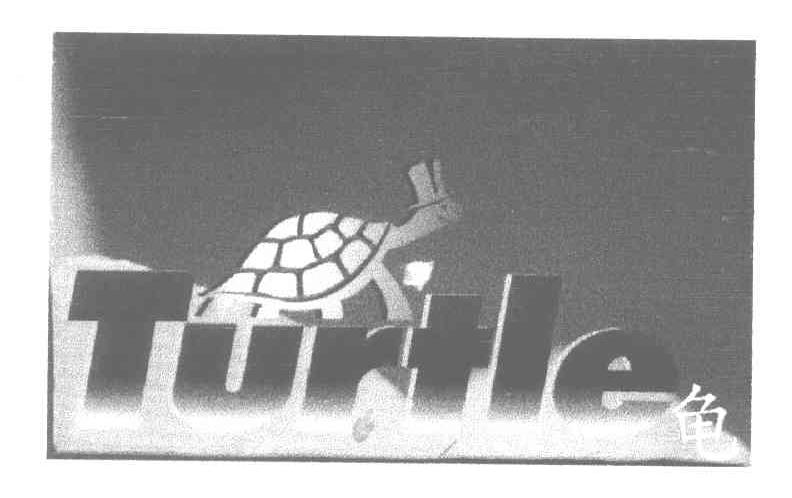 商标名称TURTLE 龟商标注册号 4560048、商标申请人姚锦成的商标详情 - 标库网商标查询