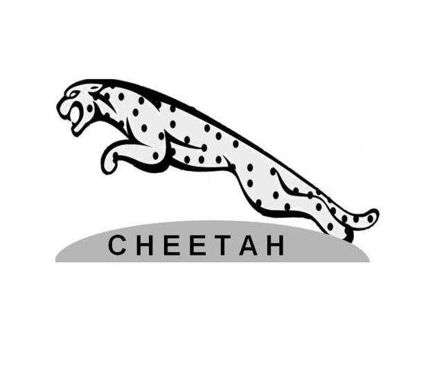 商标名称CHEETAH商标注册号 10867592、商标申请人广州霸宇贸易有限公司的商标详情 - 标库网商标查询