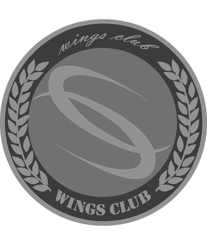 商标名称WINGS CLUB商标注册号 14889979、商标申请人广东中翼通用航空有限公司的商标详情 - 标库网商标查询