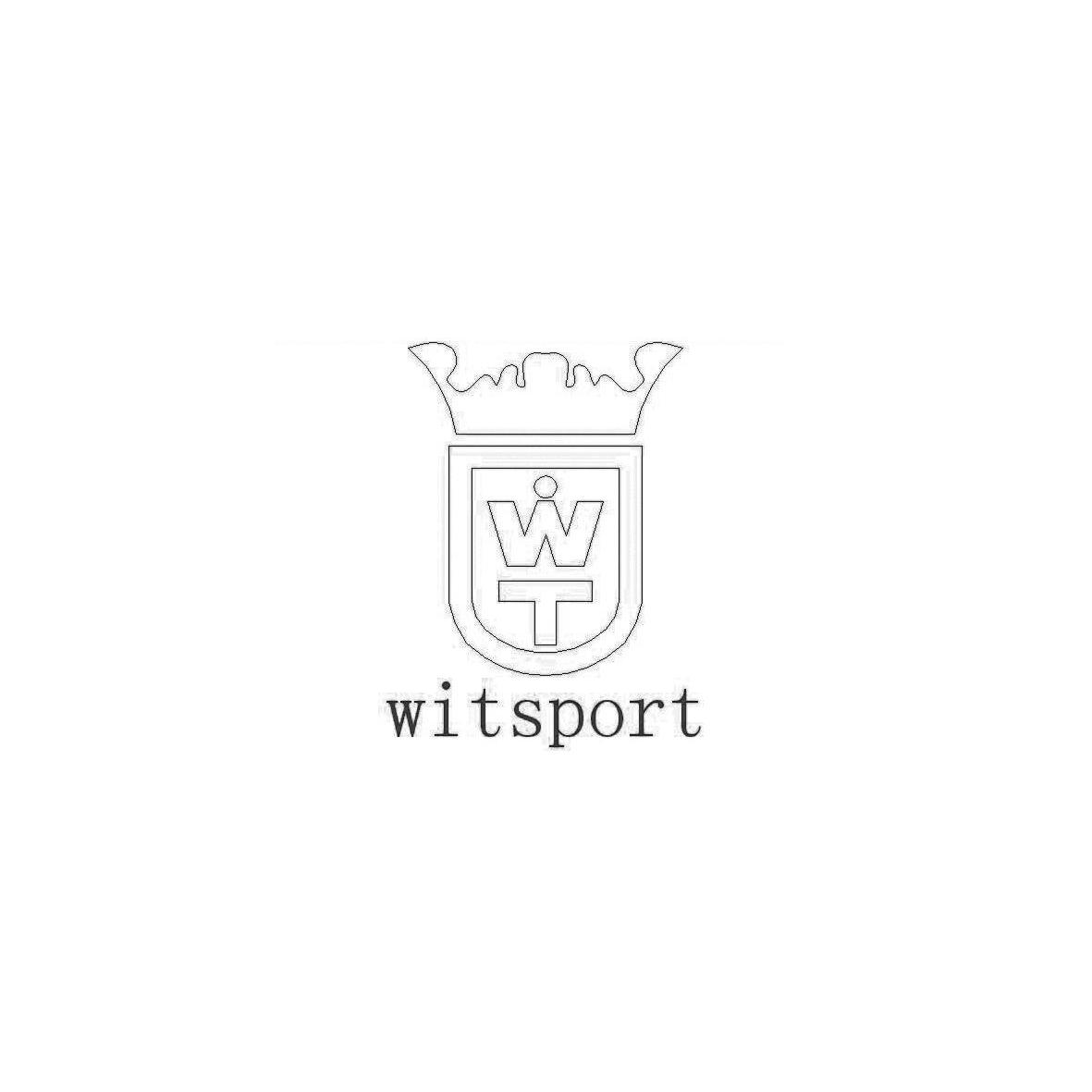 商标名称WITSPORT WT商标注册号 10819186、商标申请人深圳市尚鑫维特科技有限公司的商标详情 - 标库网商标查询