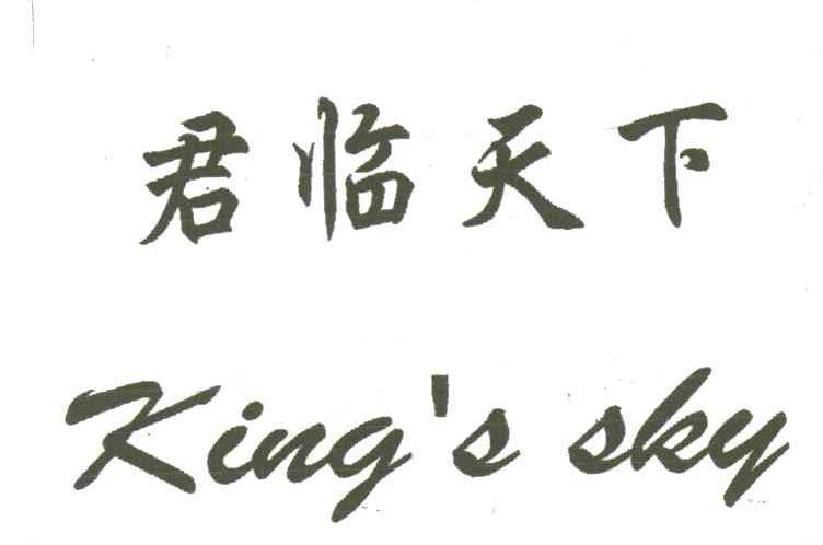 商标文字君临天下;king's sky商标注册号 3379758,商标申请人魏登军的