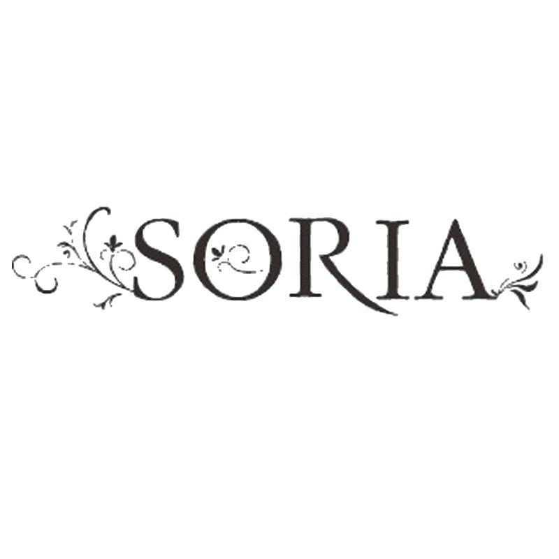 商标名称SORIA商标注册号 10792093、商标申请人青岛新普勒斯网络技术有限公司的商标详情 - 标库网商标查询