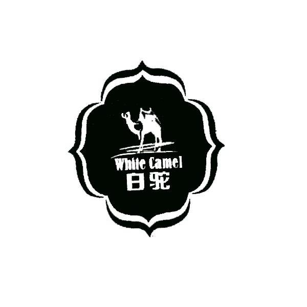 商标名称白驼 WHITE CAMEL商标注册号 13711273、商标申请人青海白驼清真肉业有限公司的商标详情 - 标库网商标查询