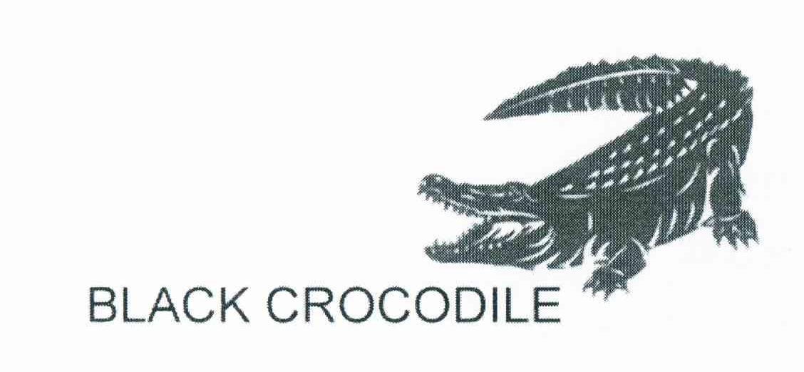 商标名称BLACK CROCODILE商标注册号 10673645、商标申请人何江辉K（9）的商标详情 - 标库网商标查询
