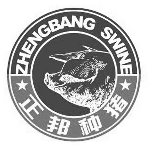 商标名称正邦种猪 ZHENGBANG SWINE商标注册号 8844500、商标申请人正邦集团有限公司的商标详情 - 标库网商标查询