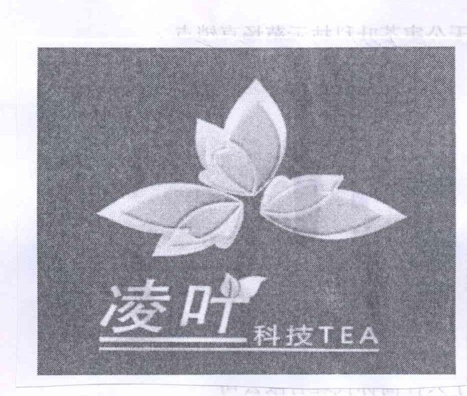 商标名称凌叶科技 TEA商标注册号 13098207、商标申请人凌云县无公害茶叶科技示范场直销点的商标详情 - 标库网商标查询