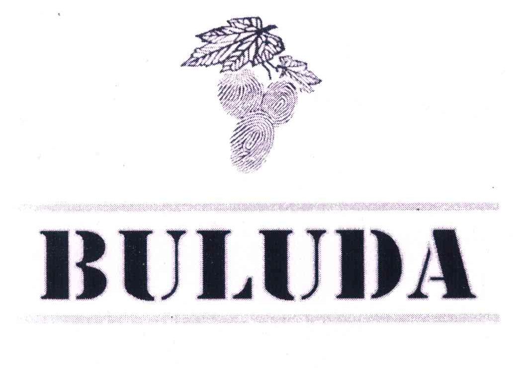 商标名称BU LU DA商标注册号 6944382、商标申请人天津布鲁达科技有限公司的商标详情 - 标库网商标查询