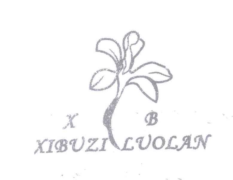 商标名称XB XIBUZI LUOLAN商标注册号 12988813、商标申请人库尔勒武全民纸品分装厂的商标详情 - 标库网商标查询