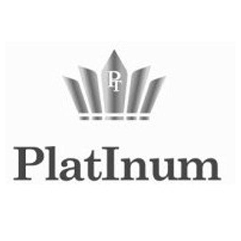 商标名称PLATINUM PT商标注册号 12325575、商标申请人浙江中赢控股集团有限公司的商标详情 - 标库网商标查询