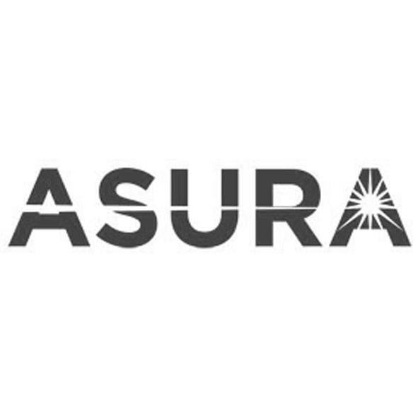 商标名称ASURA商标注册号 14188628、商标申请人深圳市铭胜能源科技有限公司的商标详情 - 标库网商标查询
