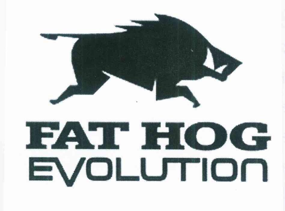 商标名称FAT HOG EVOLUTION商标注册号 12127409、商标申请人李泽羽的商标详情 - 标库网商标查询